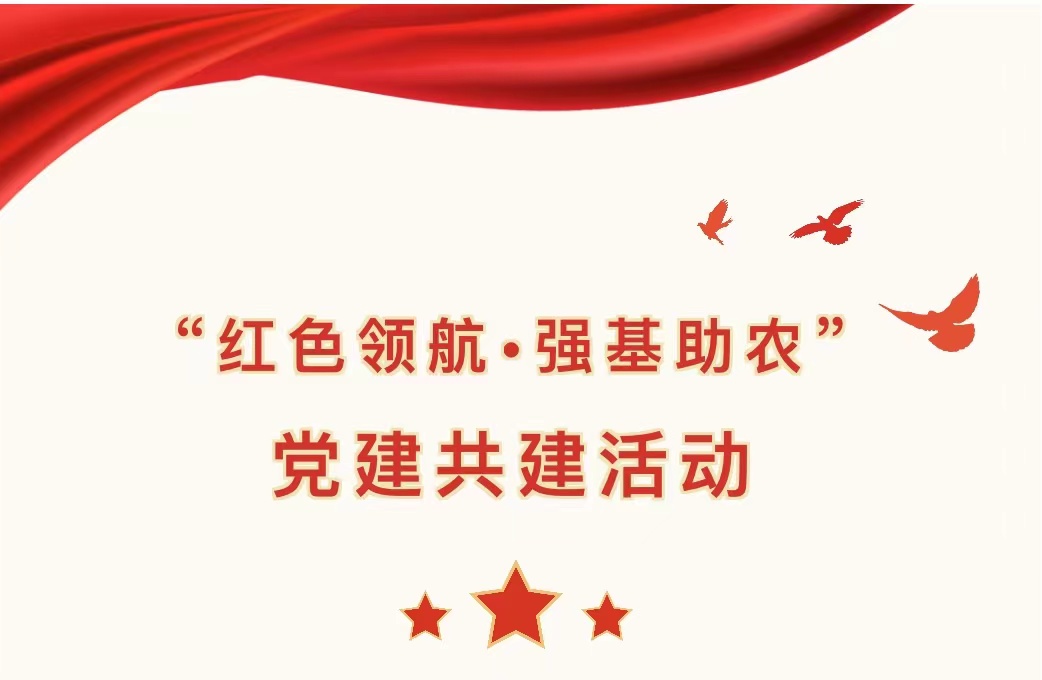 本所高阳律师受邀参加“红色领航，强基助农”党建共建活动